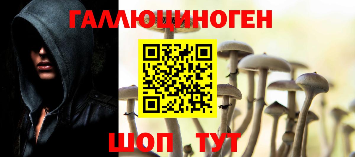 Псилоцибиновые грибы MAGIC MUSHROOMS  Вход с VPN  где продают   Псилоцибиновые грибы Psilocybine cubensis  Томск 